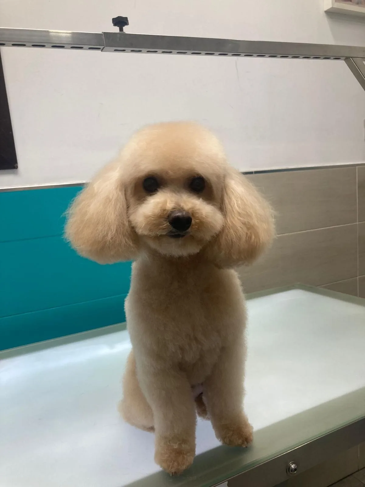 65a26288-f1a1-4776-995a-f5fafcebd471