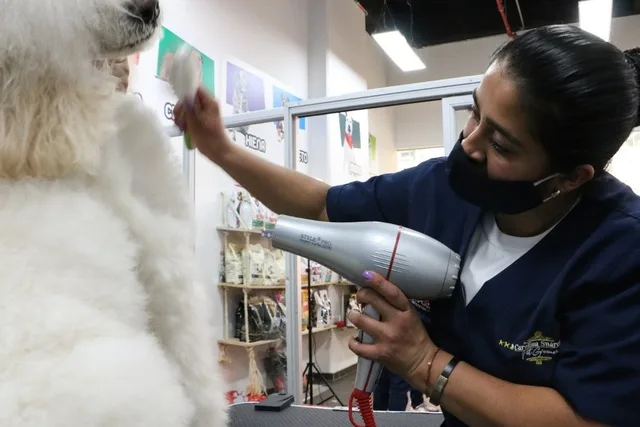 WhatsApp Image 2020-11-02 at 6.12.00 AM (2)